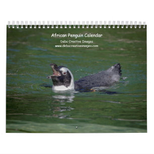 2027 Afrika-pinguïns   Zuid-Afrikaanse Wilde Diere Kalender