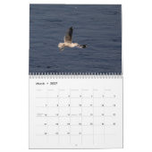 2027 Conowingo Dam | Foto's van Adelaars & Wilde D Kalender (Mar 2027)