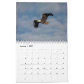 2027 Conowingo Dam | Foto's van Adelaars & Wilde D Kalender (Jan 2027)