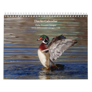 2027 Eenden van New York Watervogelfotografie Kalender