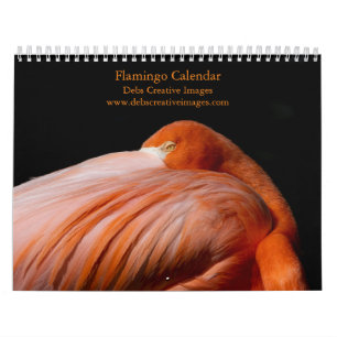 2027 Flamingo's van Florida Kalender