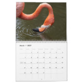 2027 Flamingo's van Florida Kalender (Mar 2027)