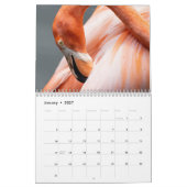 2027 Flamingo's van Florida Kalender (Jan 2027)