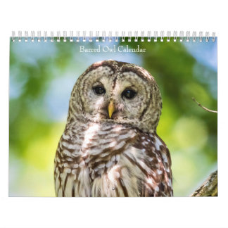 2027 Gestreepte Uilen | Mysterie van het Bos Kalender