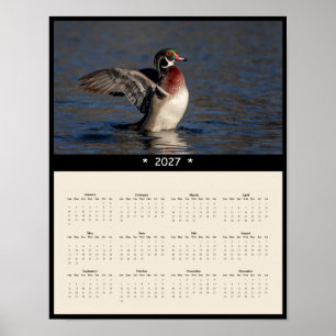 2027 Hout Eend Muurkalender - Mannetje Poster