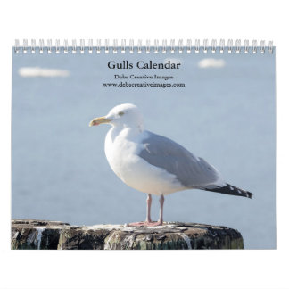 2027 Hudson River Gulls | Natuurfotografie Kalender