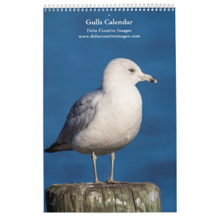 2027 Hudson River Gulls Natuurfotografie Kalender