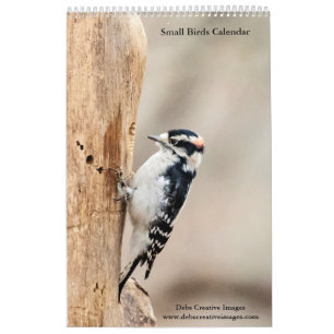 2027 Hudson Valley Songbirds Natuurfotografie Kalender