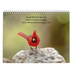 2027 Kleine Vogels Tuinvogel Fotografie Kalender