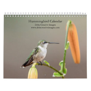 2027 Kolibries Kleine Juweeltjes van de Natuur Kalender