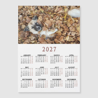 2027 magnetische kalender met Uw dieren