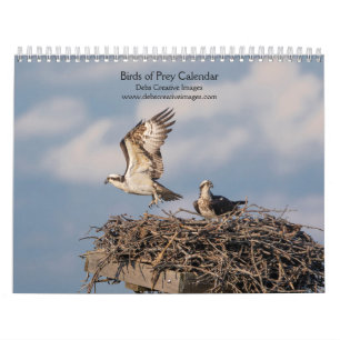 2027 Majestueuze Roofdieren Roofvogels Kalender