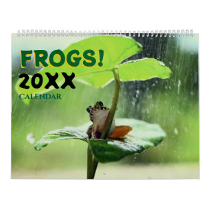 2027 Mooie Kikkers in de Natuur Muurkalender Kalender