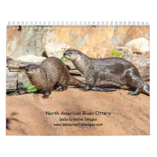 2027 Noord-Amerikaanse Rivierotters Wilde dieren Kalender