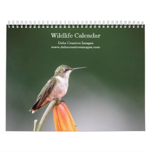 2027 Noord-Amerikaanse Wilde Dieren Vogels & Zoo Kalender