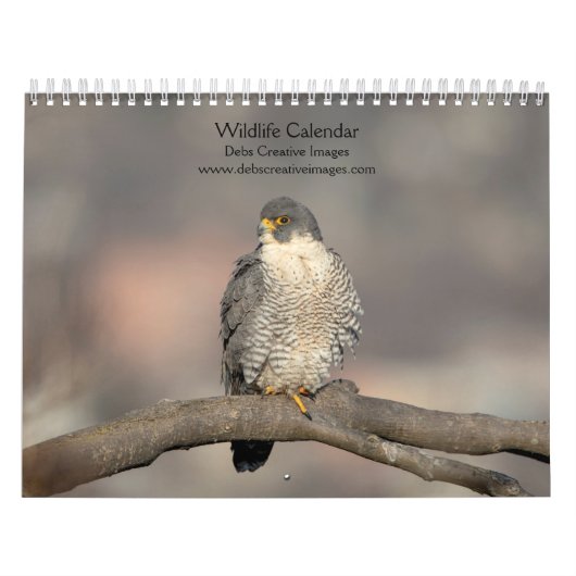 2027 Noordoostelijke Wilde Dieren | Vogels & Zoogd Kalender (Hoes)