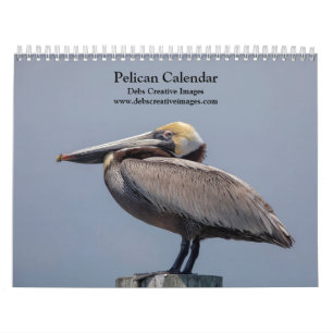 2027 Pelikanen van Florida Kustwildlife Kalender