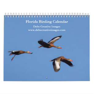 2027 Prachtige Vogels van Florida Natuurfotograf Kalender