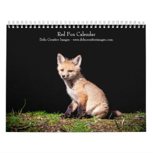 2027 Rode Vossen Bos- en natuurfotografie Kalender