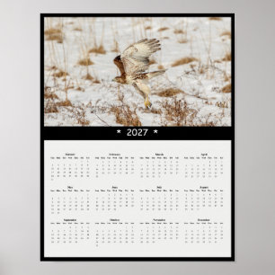 2027 Roodstaartbuizerd Muurkalender - Hemelwachter Poster