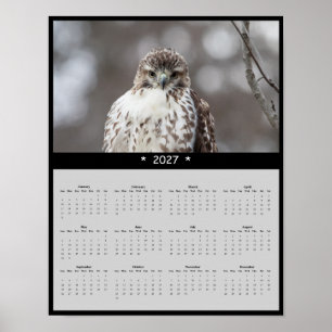 2027 Roodstaartbuizerd Muurkalender Waakzame Jager Poster