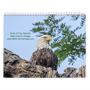 2027 Roofvogels van New York Wildelevenfotografi Kalender