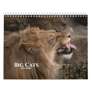 2027 Timeless Wild Cats Collectie Kalender