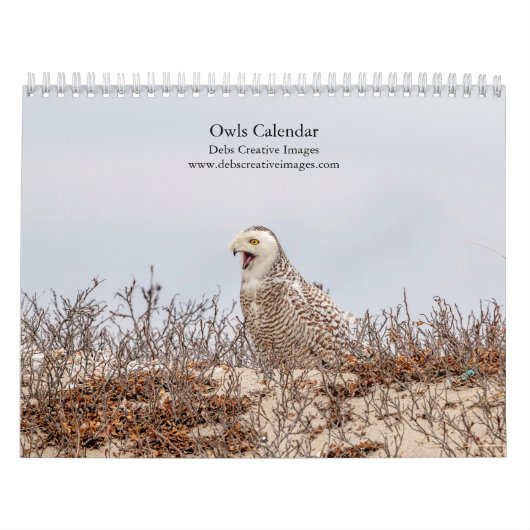 2027 Uilen van Noord-Amerika | Wilde Natuurfotogra Kalender (Hoes)