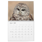 2027 Uilen van Noord-Amerika | Wilde Natuurfotogra Kalender (Mar 2027)
