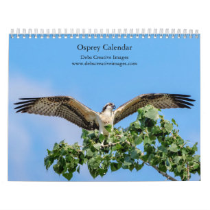 2027 Visarend Majestueuze Visvangende Roofvogels Kalender