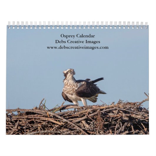 2027 Visarend | Visvalk Fotografie Kalender (Hoes)