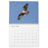 2027 Visarend | Visvalk Fotografie Kalender (Jan 2027)