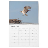 2027 Visarend | Visvalk Fotografie Kalender (Feb 2027)