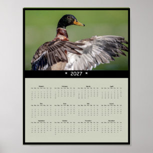 2027 Wilde Eend Muurkalender - Wilde Dieren Poster