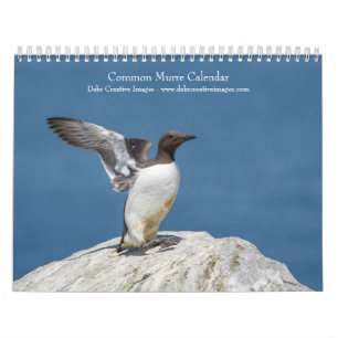 2027 Zeekoeten Atlantische Zeevogels Kalender