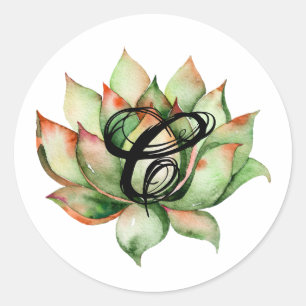 20 - 1.5 Envelopzegel Boho Cacti Cactus Succulen Ronde Sticker