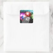 20 African Grey Stickers (Tas)