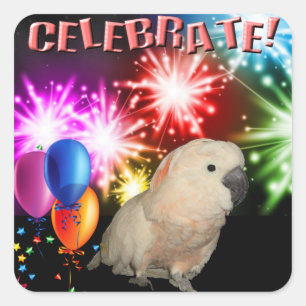 20 autocollants Moluccan Cockatoo