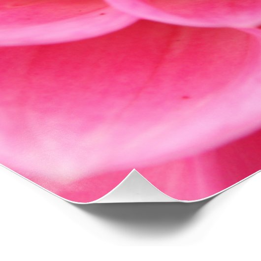 20-inch x20-inch, Poster papier (halfglanzend) roz Perfect Poster (Hoek)