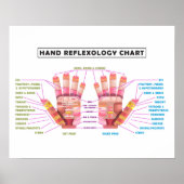 20-inch x 16-inch Hand Reflexology Poster (Voorkant)