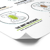 20 Soorten Baby Poster (Hoek)