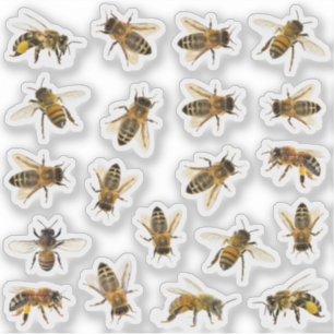 20 Stickers d'abeille à miel réalistes