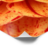20"x20", Poster Paper (Semi-Gloss) Orange Flower (Coin)