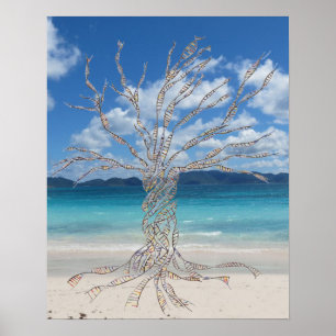 20 x 16 inch, Value Poster Paper (Matte)