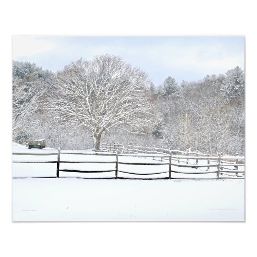 20 x 16 Walden Woods Project Farm Photo Imprimer (Devant)