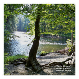 20 x 20 inch, Poster (halfglanzend) Perfect Poster