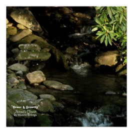 20 x 20 inch, Poster (halfglanzend) Perfect Poster