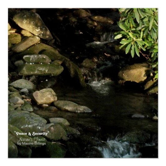 20 x 20 inch, Poster (halfglanzend) Perfect Poster (Voorkant)