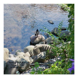 20 x 20 inch, Poster (halfglanzend) Perfect Poster