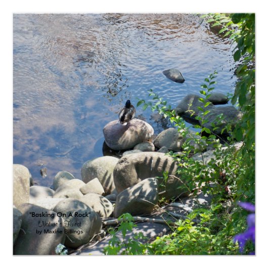 20 x 20 inch, Poster (halfglanzend) Perfect Poster (Voorkant)